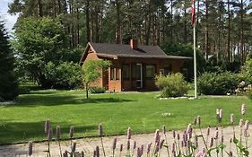 Forest House With Outdoor Hot Tub
